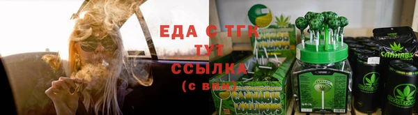 индика Верхний Тагил